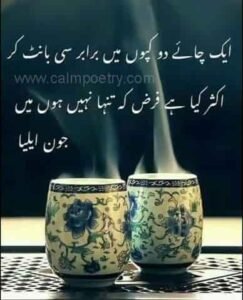 john elia poetry