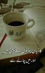 tea poetry in urdu