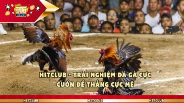 Hitclub
